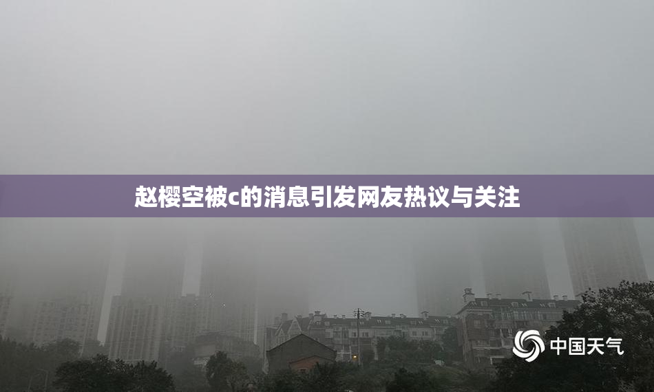 赵樱空被c的消息引发网友热议与关注