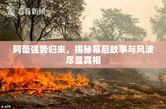 阿蕾强势归来，揭秘幕后故事与风波尽显真相
