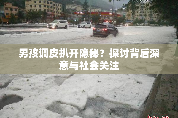 男孩调皮扒开隐秘？探讨背后深意与社会关注