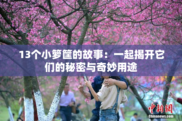 13个小箩筐的故事：一起揭开它们的秘密与奇妙用途