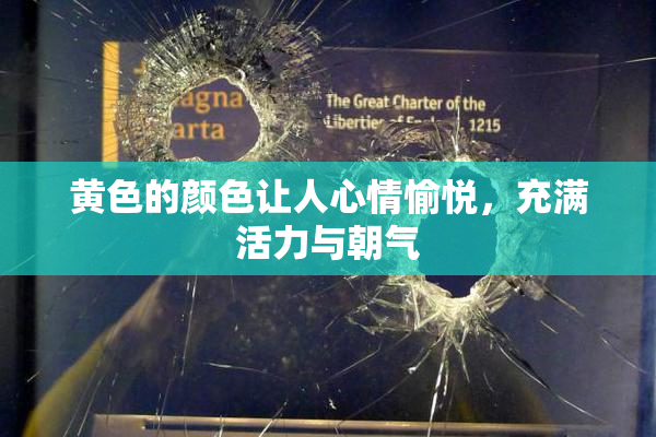 黄色的颜色让人心情愉悦，充满活力与朝气