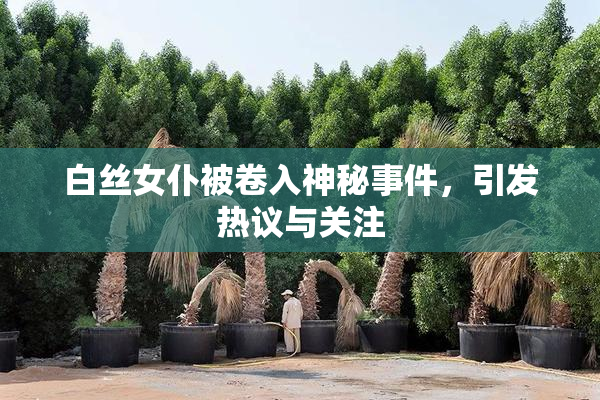 白丝女仆被卷入神秘事件，引发热议与关注