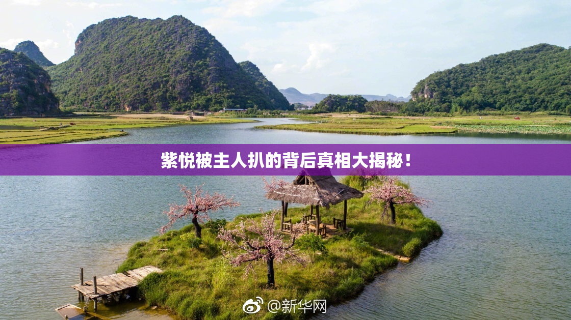 紫悦被主人扒的背后真相大揭秘！