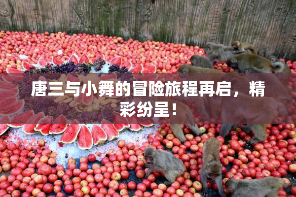 唐三与小舞的冒险旅程再启，精彩纷呈！