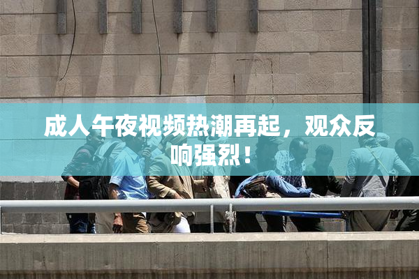 成人午夜视频热潮再起，观众反响强烈！