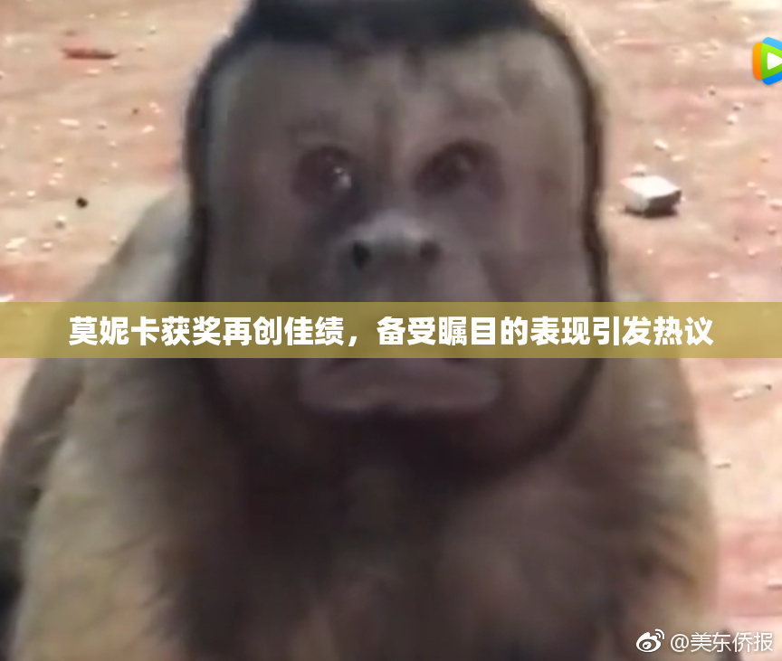 莫妮卡获奖再创佳绩，备受瞩目的表现引发热议