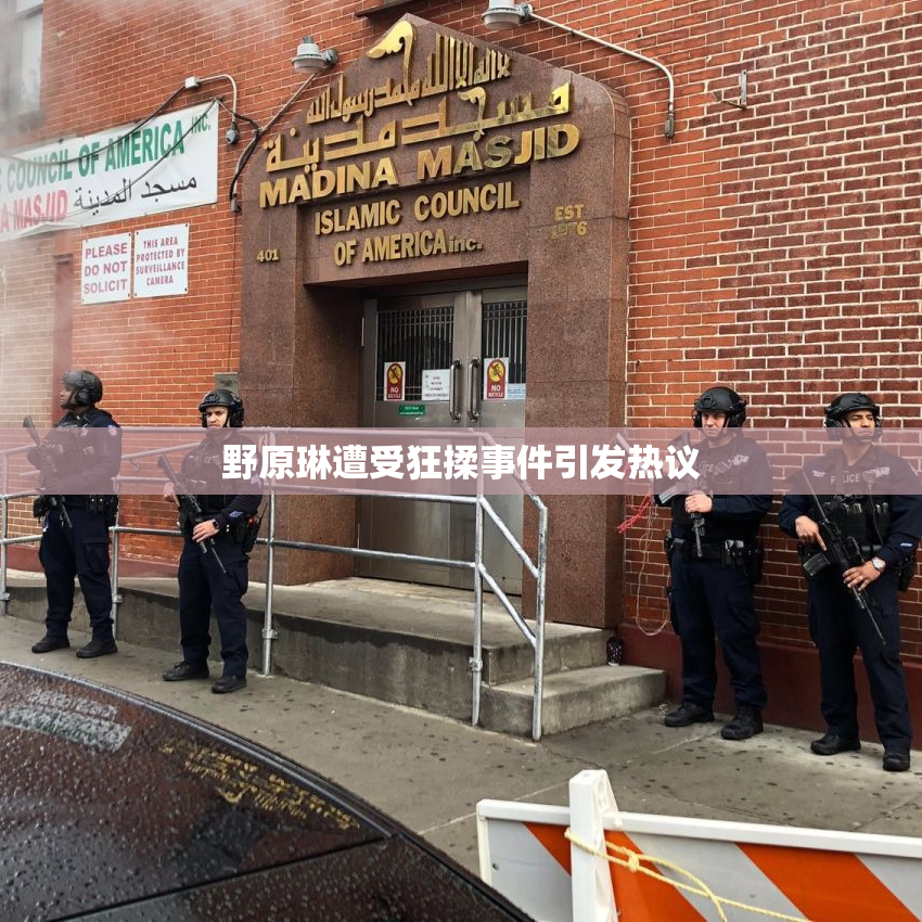 野原琳遭受狂揉事件引发热议
