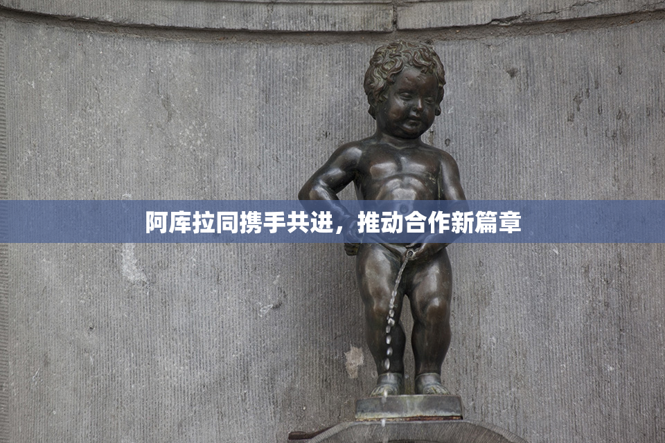 阿库拉同携手共进，推动合作新篇章