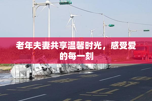 老年夫妻共享温馨时光，感受爱的每一刻