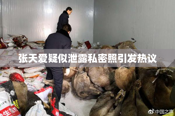 张天爱疑似泄露私密照引发热议