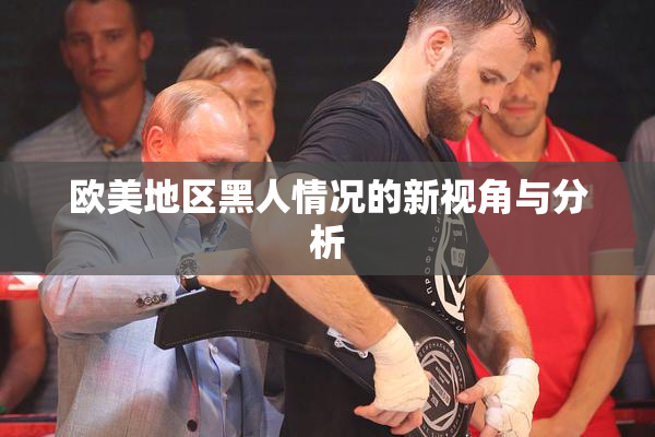 欧美地区黑人情况的新视角与分析