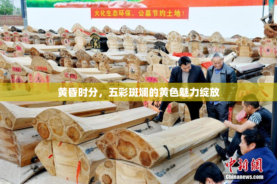 黄昏时分，五彩斑斓的黄色魅力绽放