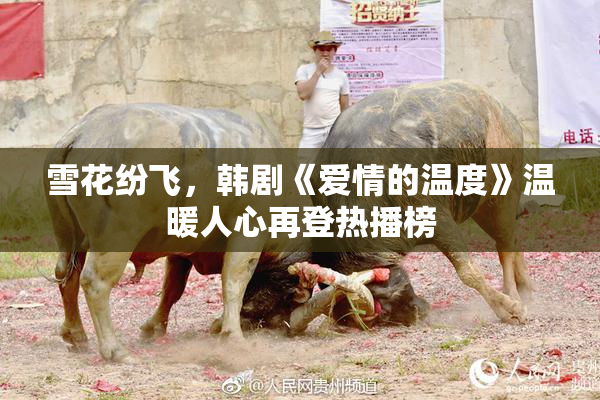雪花纷飞，韩剧《爱情的温度》温暖人心再登热播榜