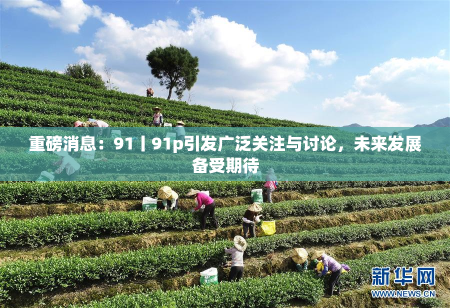 重磅消息：91丨91p引发广泛关注与讨论，未来发展备受期待