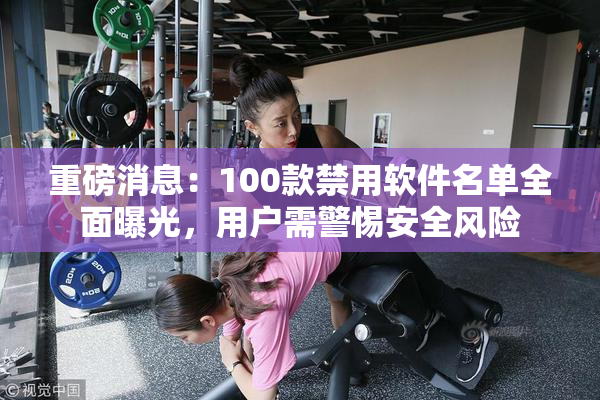 重磅消息：100款禁用软件名单全面曝光，用户需警惕安全风险