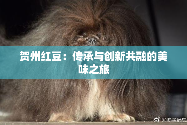 贺州红豆：传承与创新共融的美味之旅