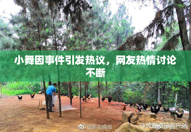 小舞因事件引发热议，网友热情讨论不断