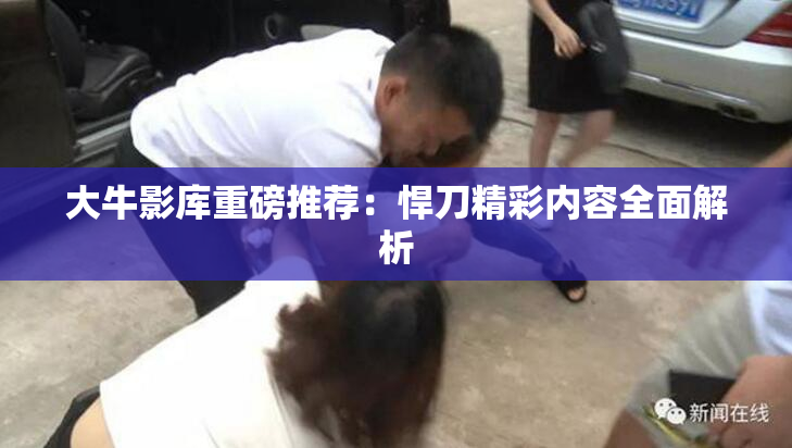 大牛影库重磅推荐：悍刀精彩内容全面解析