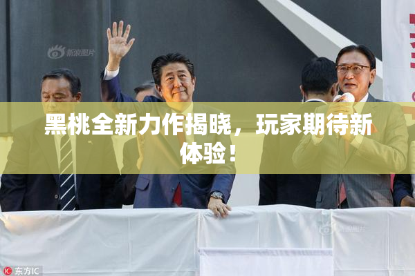 黑桃全新力作揭晓，玩家期待新体验！