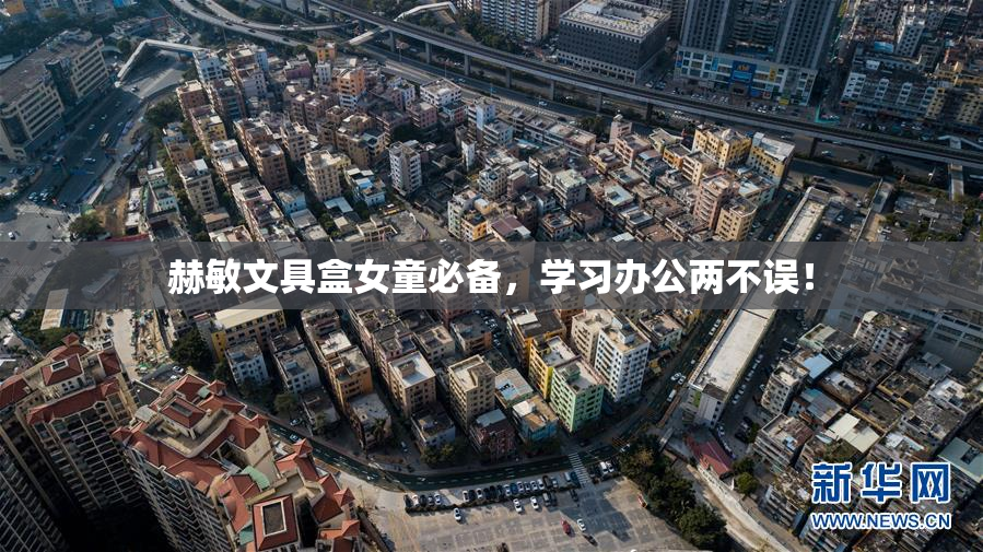 赫敏文具盒女童必备，学习办公两不误！
