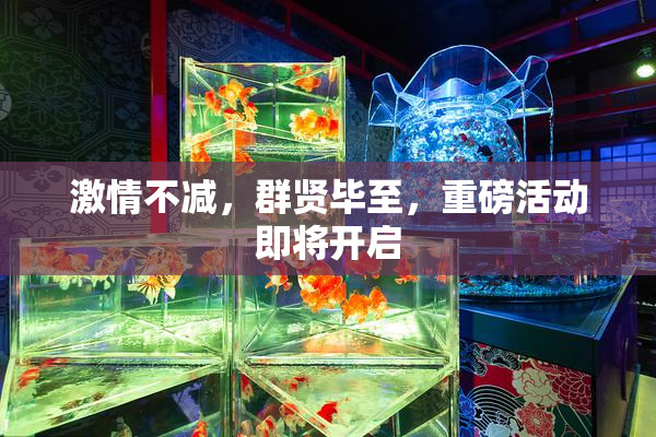 激情不减，群贤毕至，重磅活动即将开启