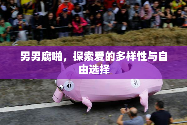 男男腐啪，探索爱的多样性与自由选择