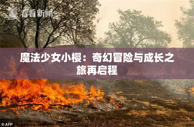 魔法少女小樱：奇幻冒险与成长之旅再启程