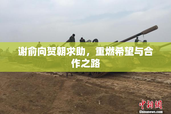 谢俞向贺朝求助，重燃希望与合作之路