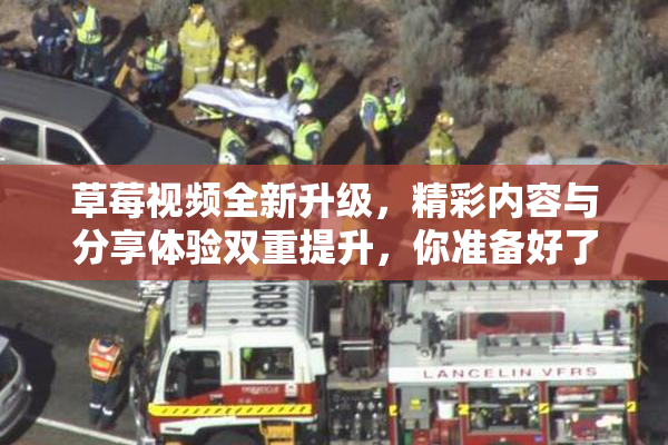 草莓视频全新升级，精彩内容与分享体验双重提升，你准备好了吗？