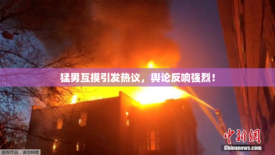 猛男互摸引发热议，舆论反响强烈！