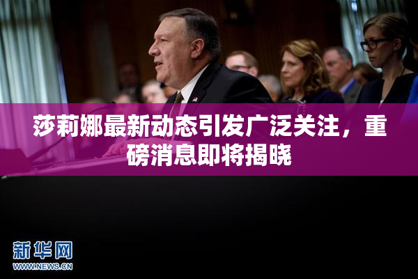 莎莉娜最新动态引发广泛关注，重磅消息即将揭晓