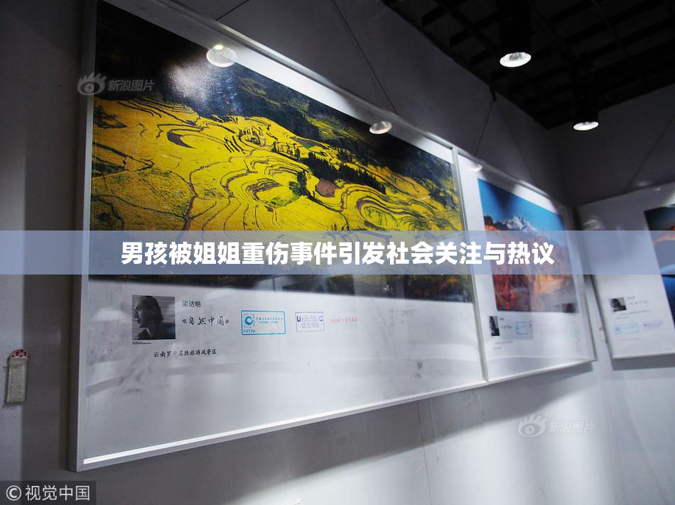 男孩被姐姐重伤事件引发社会关注与热议