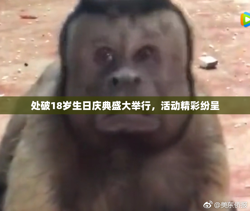 处破18岁生日庆典盛大举行，活动精彩纷呈