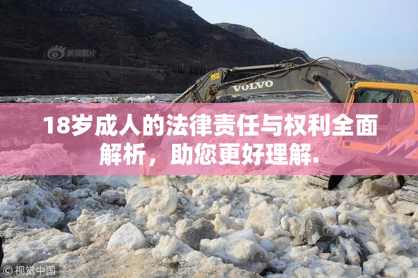 18岁成人的法律责任与权利全面解析，助您更好理解.