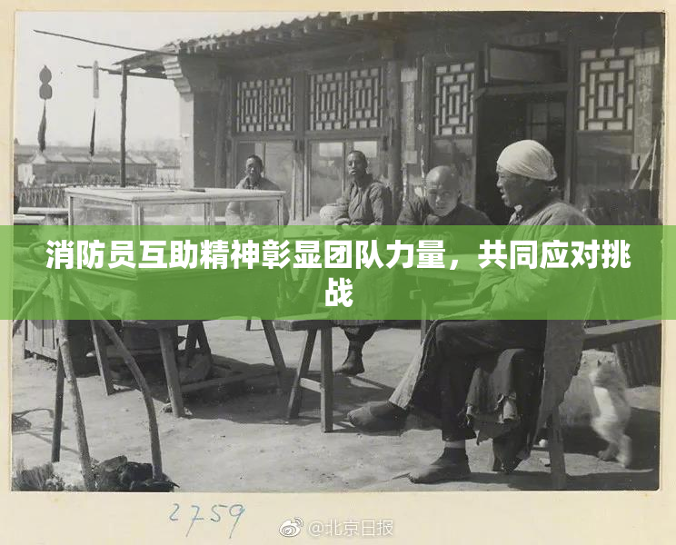 消防员互助精神彰显团队力量，共同应对挑战