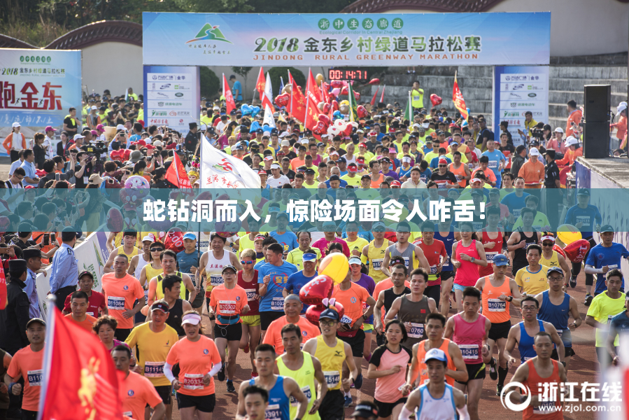 蛇钻洞而入，惊险场面令人咋舌！
