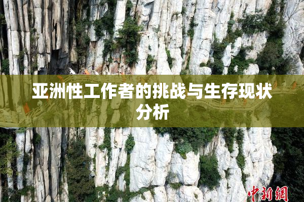 亚洲性工作者的挑战与生存现状分析
