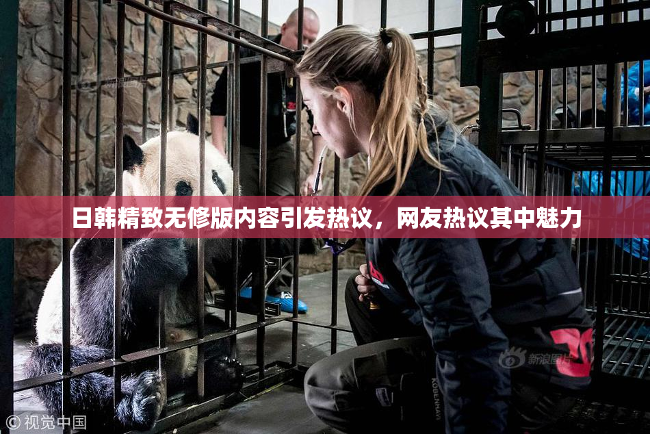 日韩精致无修版内容引发热议，网友热议其中魅力