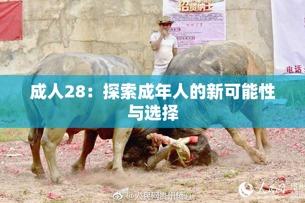成人28：探索成年人的新可能性与选择