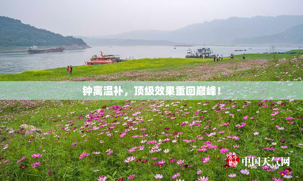 钟离温补，顶级效果重回巅峰！