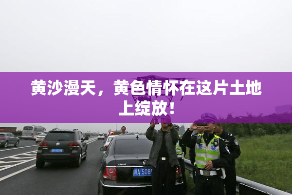 黄沙漫天，黄色情怀在这片土地上绽放！