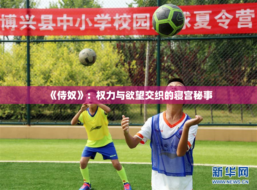 《侍奴》：权力与欲望交织的寝宫秘事