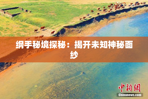 纲手秘境探秘：揭开未知神秘面纱