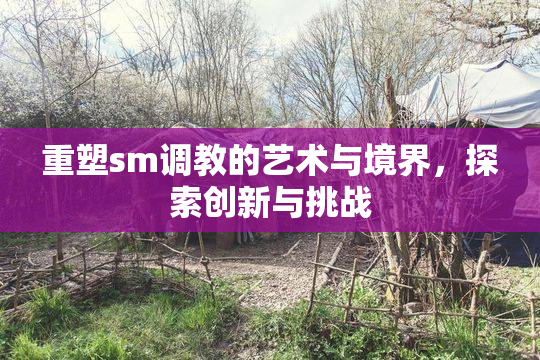 重塑sm调教的艺术与境界，探索创新与挑战