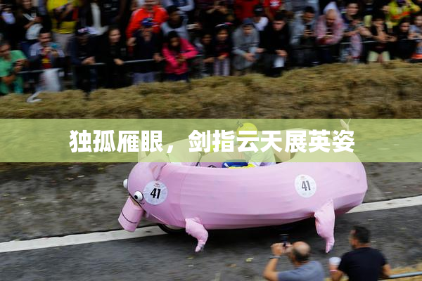 独孤雁眼，剑指云天展英姿