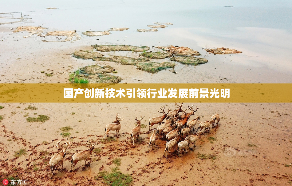 国产创新技术引领行业发展前景光明