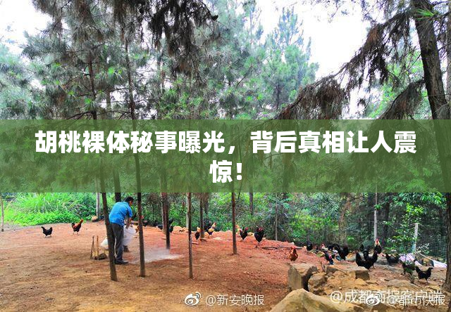 胡桃裸体秘事曝光，背后真相让人震惊！