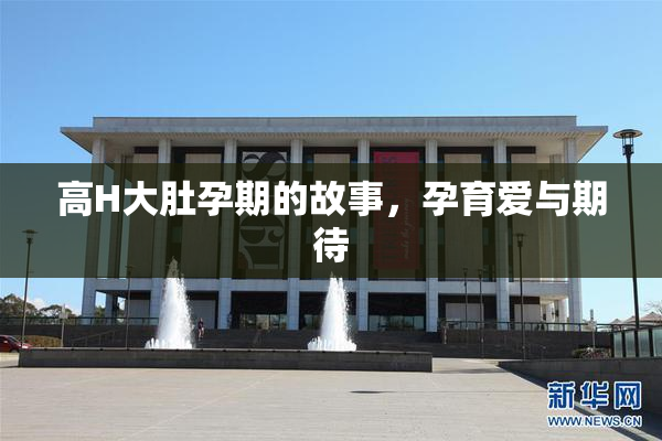 高H大肚孕期的故事，孕育爱与期待