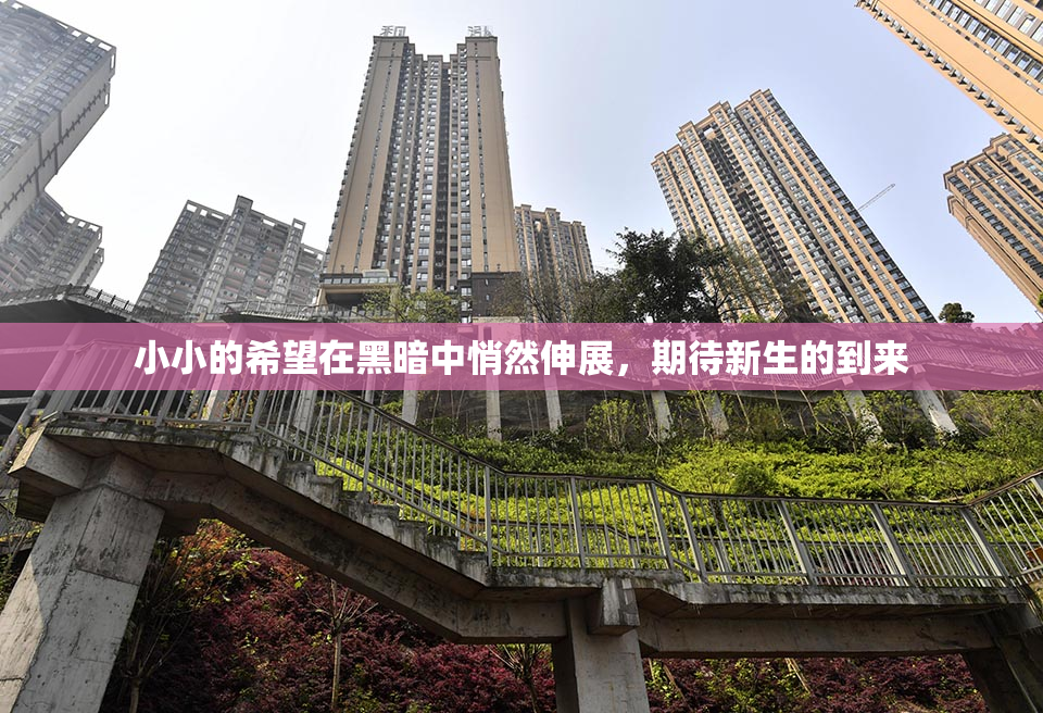 小小的希望在黑暗中悄然伸展，期待新生的到来
