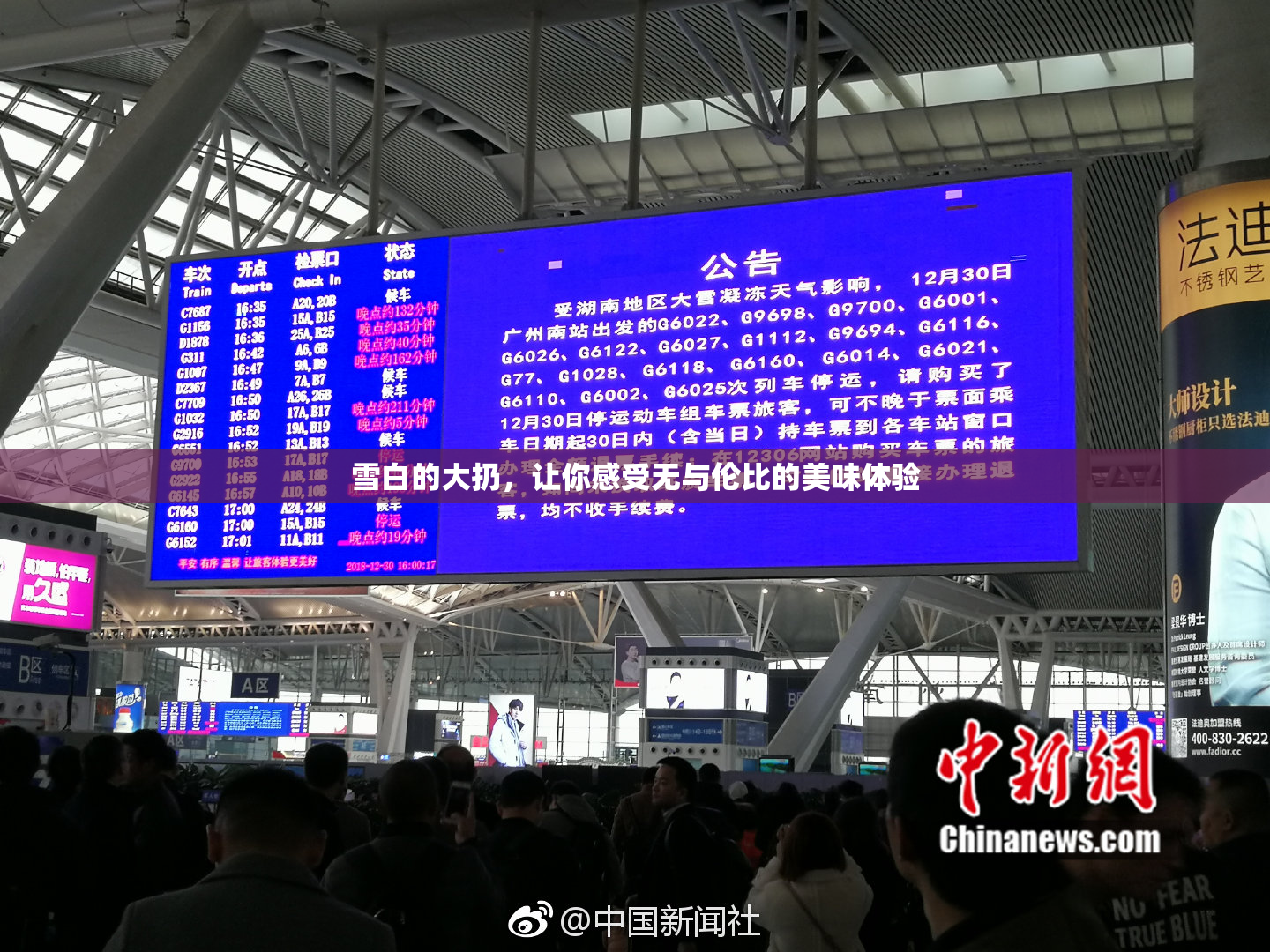 雪白的大扔，让你感受无与伦比的美味体验